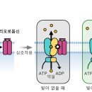 헬리오네이처 이미지