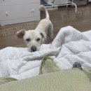 아기사랑 이미지