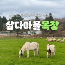 성인목장 이미지
