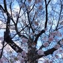 파리 1존 한인민박 추천 쉐마망, 후기좋은 한인민박 여자 혼자 안전하게 여행 / 파리 맥주 맛집 프로그...
