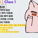 머니헌터 네이버블로그