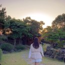 제주 휴식 자쿠지 감성숙소 이미지