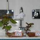 보령약품㈜ 이미지