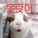 사임당로18길 14 (1) | 강남 Studio ESC 방탈출 검은마법사 내돈내산 후기