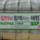 장성농원
