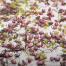 차성남로65번길 이미지