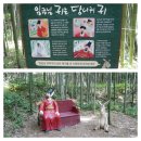 연화 | 담양 대표 힐링 여행지 죽녹원, 추월당 한옥카페
