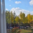 방배로23길 31-24 | [서울 마포] 연남동 드레스 대여 가능 감성 최고 브라이덜 샤워 스튜디오 템템