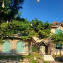 강릉애 진심 이미지