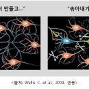 키다리공부방