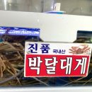 영덕대게거리 이미지