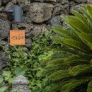 빈도롱이 이미지