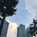 (주)온코소프트 | 씨비에스바이오 생명공학 연구 개발 회사