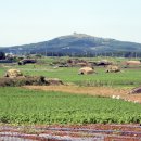 제주 구 육군 제1훈련소 지휘소와 정문 이미지