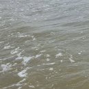 목감공원 화장실 이미지