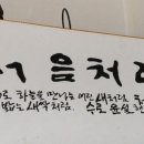 DMZ stay 이미지