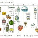 1.산과 염기의 특성 이미지