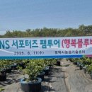 이강인농장 이미지