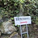 [제주도 숙소] 또랑게스트하우스, 한라산 등반을 위한 픽업과 드랍이 가능한 숙소 추천_241002