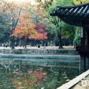 왕의 정원 이미지