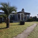 성읍리-21 이미지