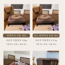 모순자민물장어 이미지