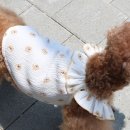 1385 쇼핑하우