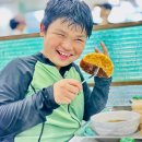 용인대 코리아 태권도 이미지