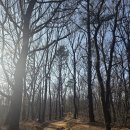 정발산공원 | 일산 걷기 좋은 길, 정발산공원