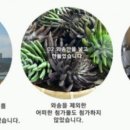 미인건강농장 이미지