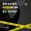 동물보육원 부산지사 | [부산 바퀴벌레 방역] 반려동물 있는 집 해충 문제 해결!