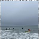 균스포츠 이미지