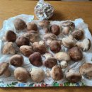 송화약국 이미지