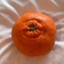 레드향PC방 이미지