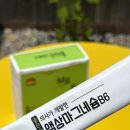 해빛소