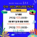 썬플라워3