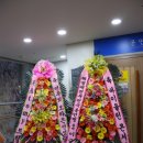 모차르트음악교습소 | [2026_0314] 바이올린 연주회