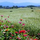 곰소농장 이미지