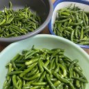 은실 노래연습장 이미지