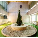 동탄더하다한방병원 이미지