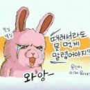 에스샵 이미지