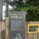 경상남도 남해 여행지 해수관음 성지 보리암 강력 추천합니다