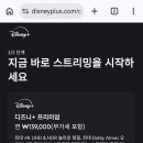 디즈니플러스 계원 구함 이미지