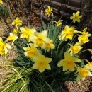 해안29번가 이미지