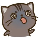 드림스포츠 팩토리 이미지