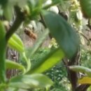 태수농장 이미지