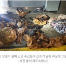 크린업24셀프빨래방여수무선점