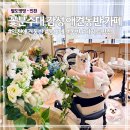 멍멍플라워 | 인천 송도 애견동반 카페 사일런트 | 꽃분수대 감성 봄 카페 추천