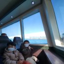 바닷속으로 | 제주도 잠수함 여행, 아이랑 바닷속 구경 솔직 후기