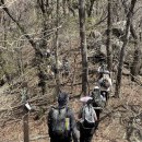 재준농장 | [백패킹 #9] 진달래 꽃길 따라 삼만리 - BPL mini hike 참가 후기